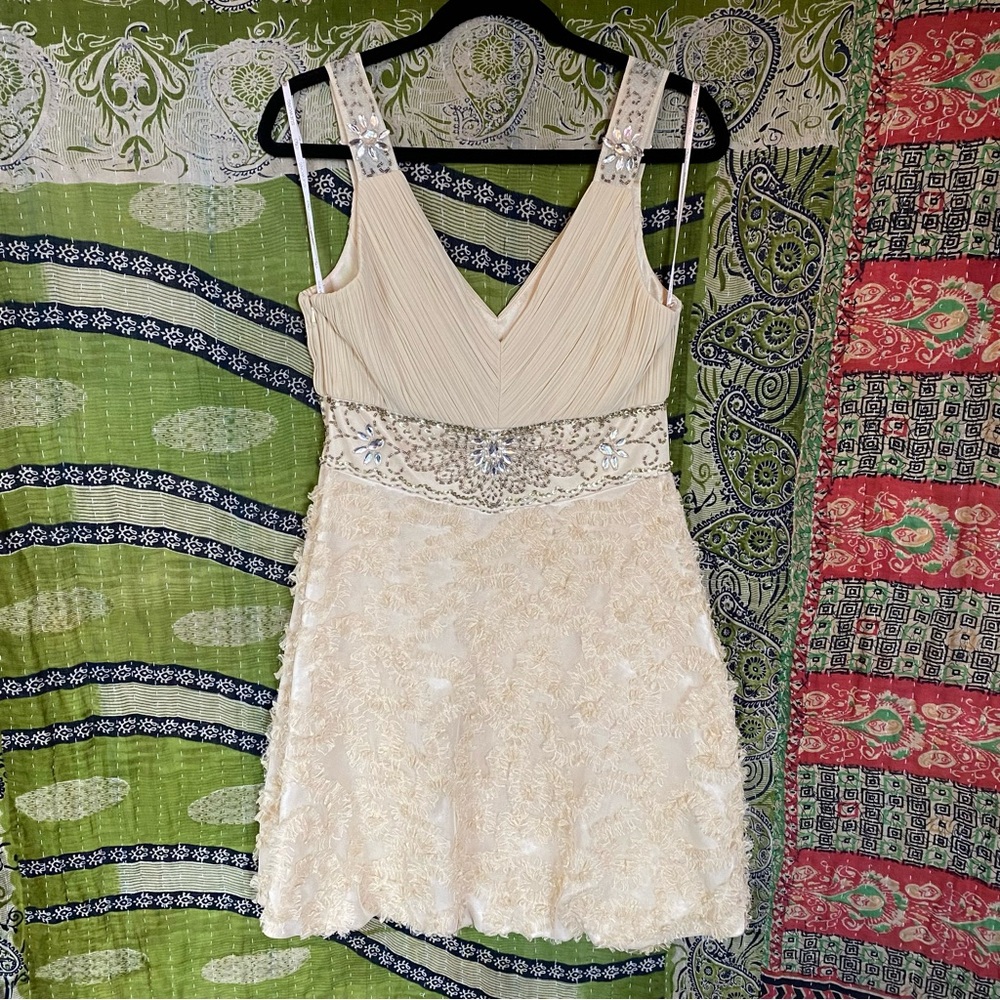 Sue Wong Nocturne Cream Embellished V-Neck Colume Mini Dress Size 10 - Picture 8 of 16